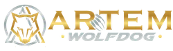 Artem Wolfdog