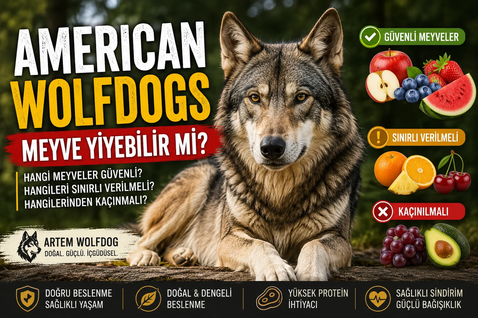 American Wolfdog Meyve Yiyebilir mi? Güvenli ve Zararlı Meyveler Rehberi