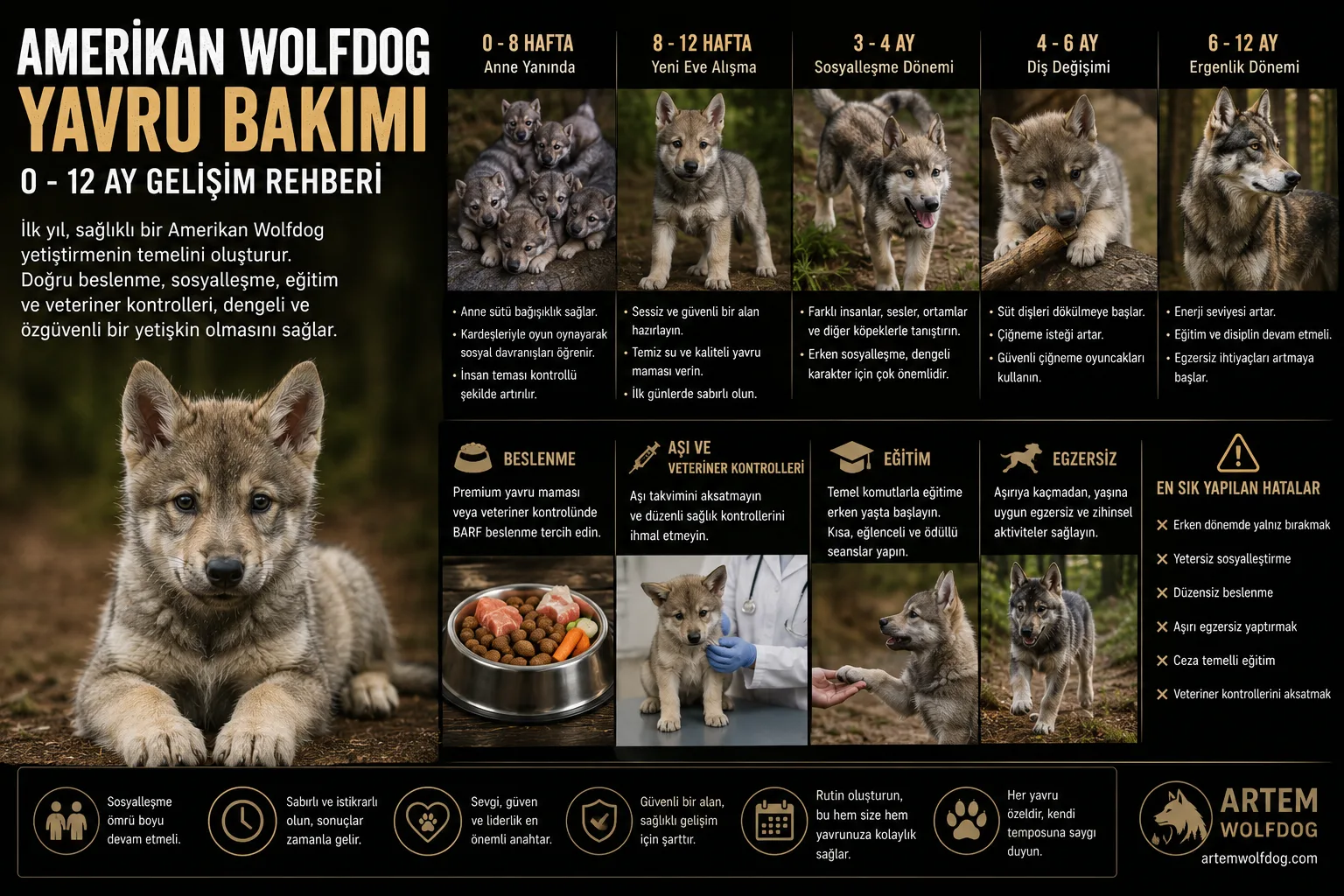 Amerikan Wolfdog Yavru Bakımı | 0-12 Ay Gelişim Rehberi