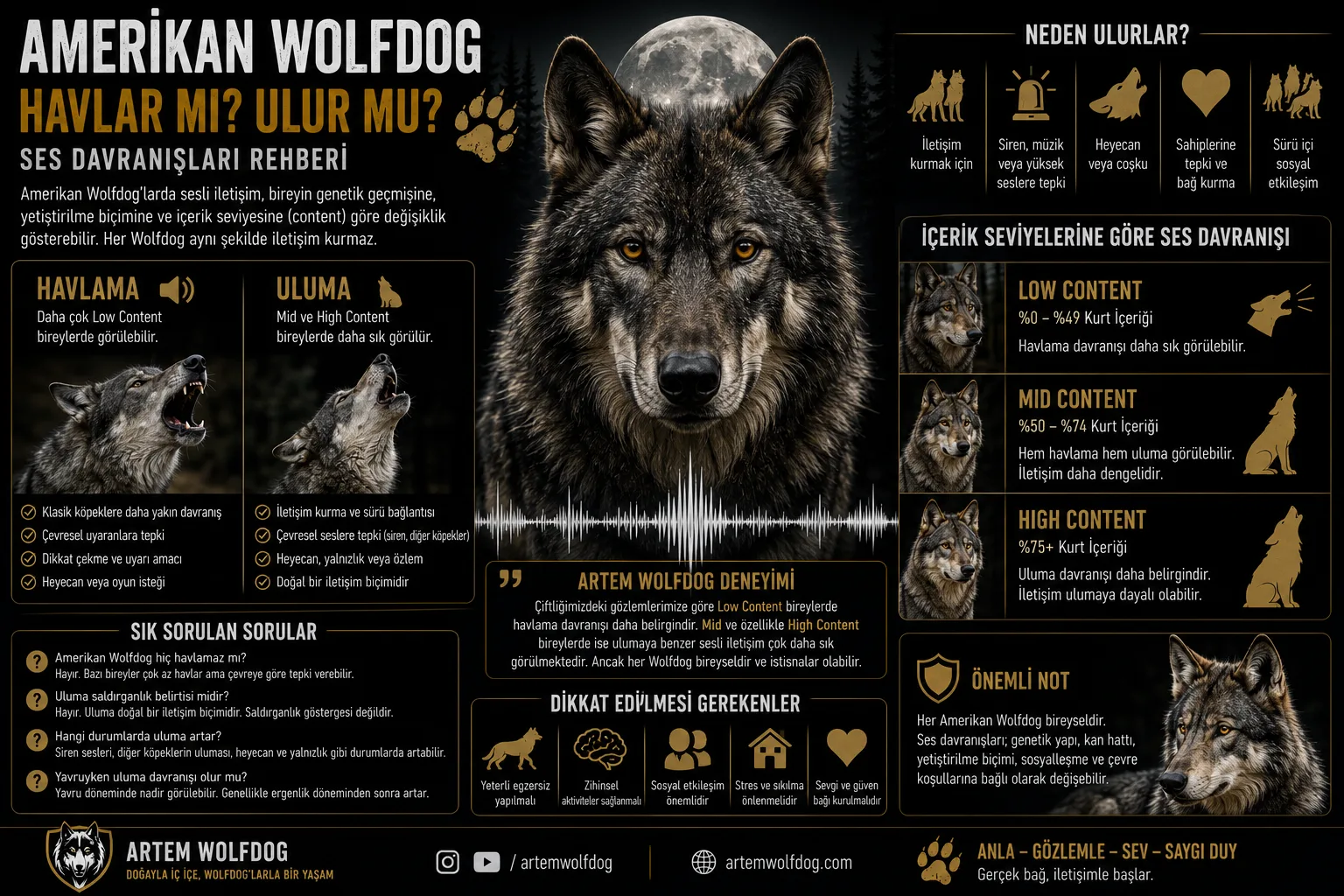 Amerikan Wolfdog Havlar mı? Ulur mu? Ses Davranışları Hakkında Bilmeniz Gerekenler