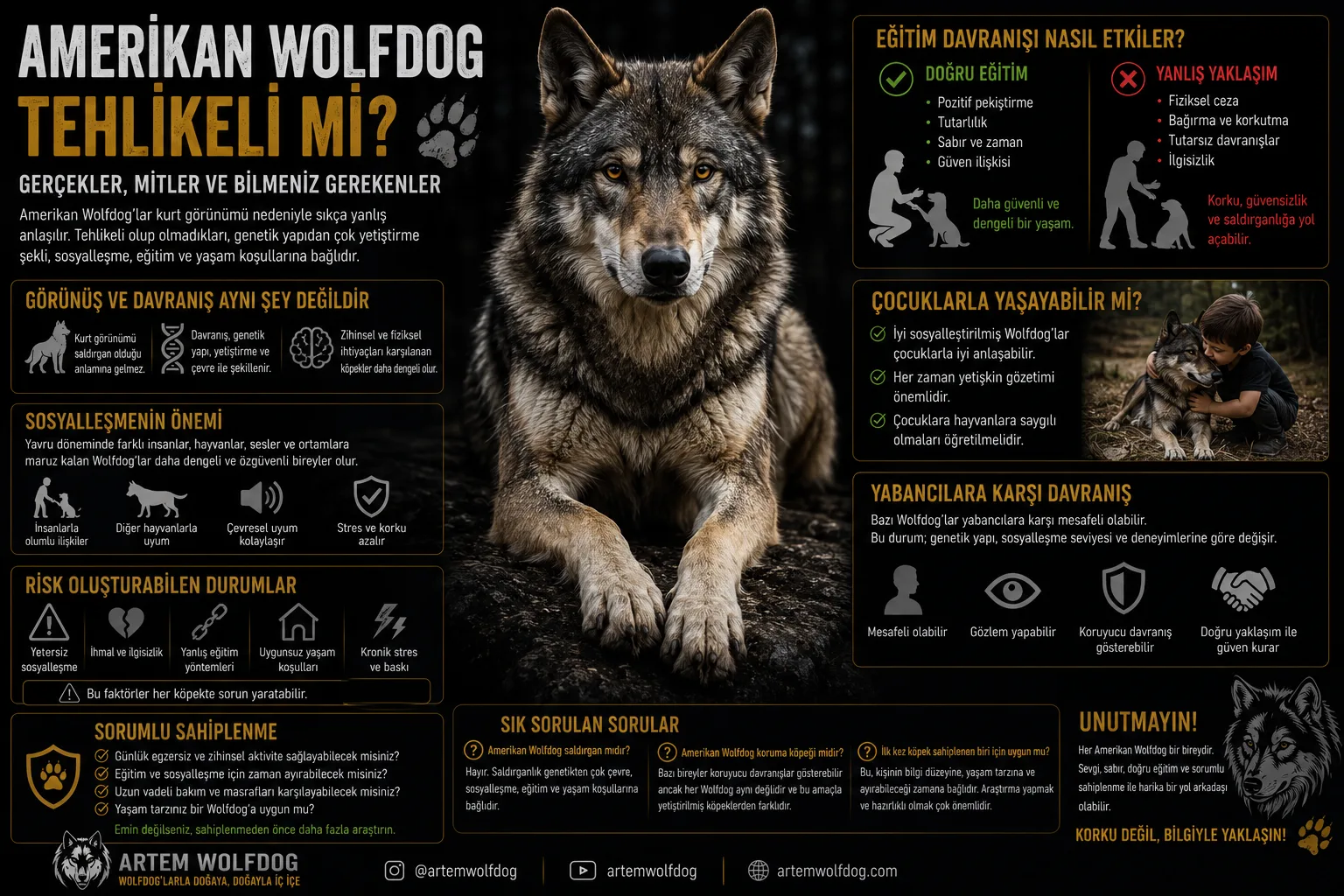 Amerikan Wolfdog Tehlikeli mi? Gerçekler, Mitler ve Bilmeniz Gerekenler
