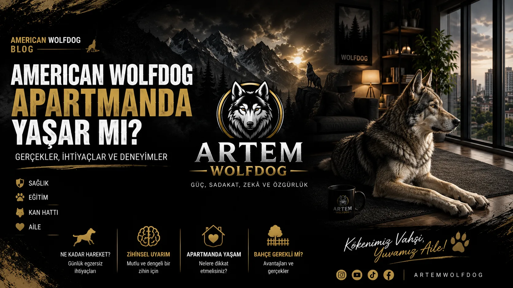 American Wolfdog Apartmanda Yaşar mı? Ev ve Bahçe Yaşamı Rehberi