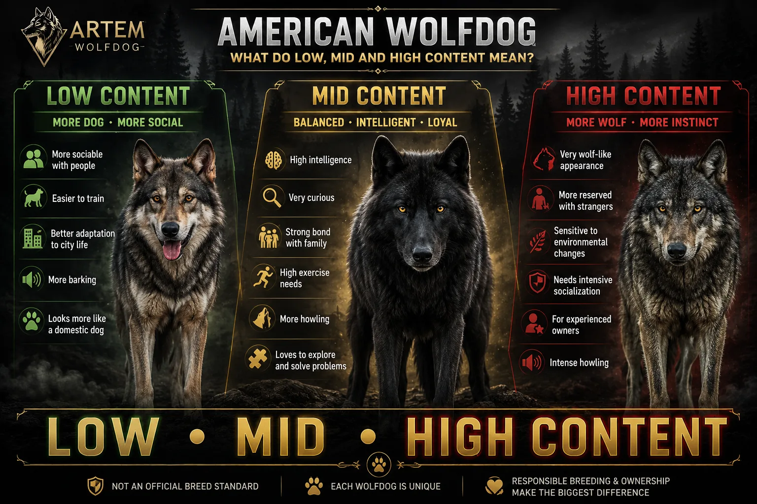 American Wolfdog Türleri | Low Content, Mid Content ve High Content Rehberi