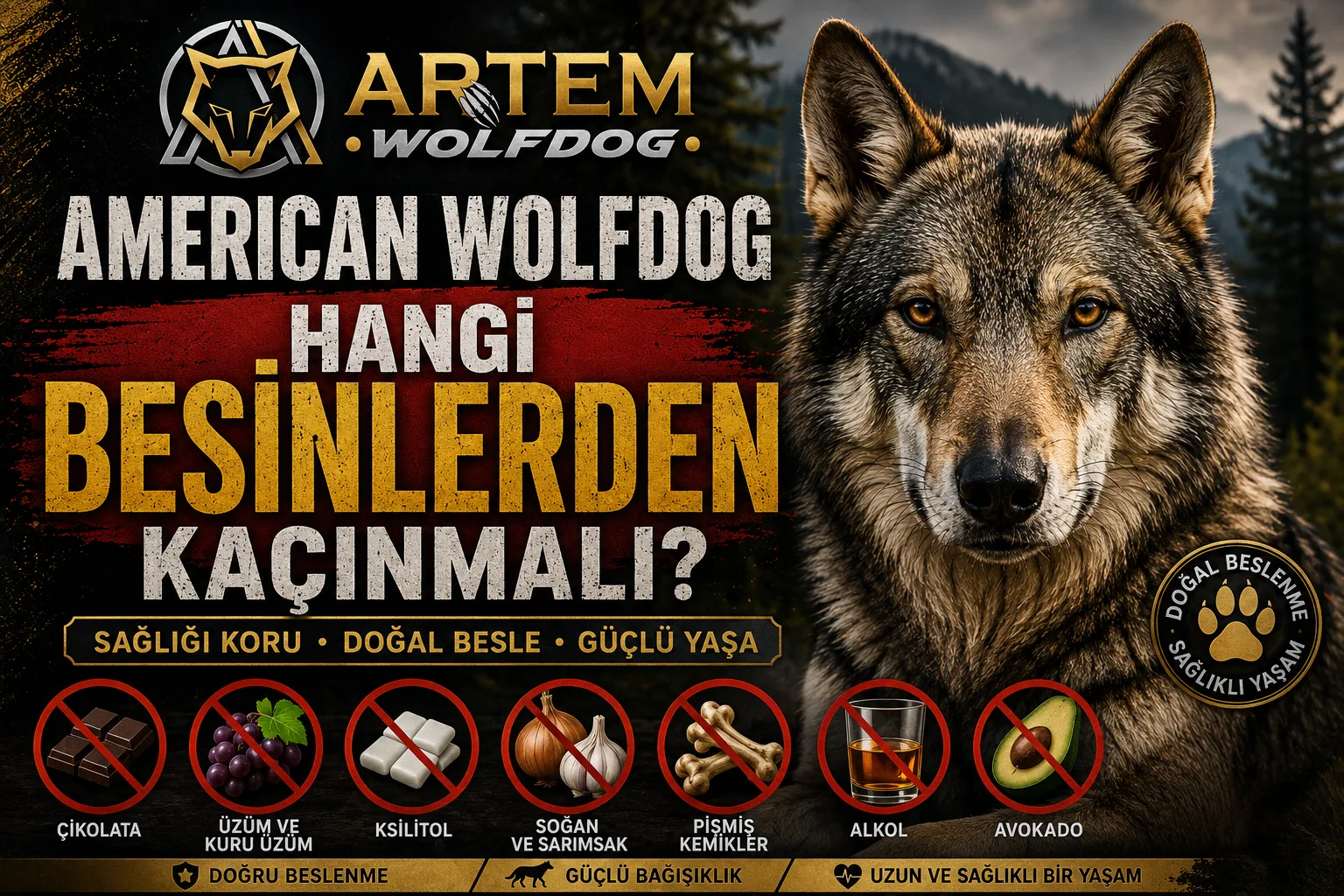 American Wolfdog İçin Kaçınılması Gereken Gıdalar | Güvenli Beslenme Rehberi