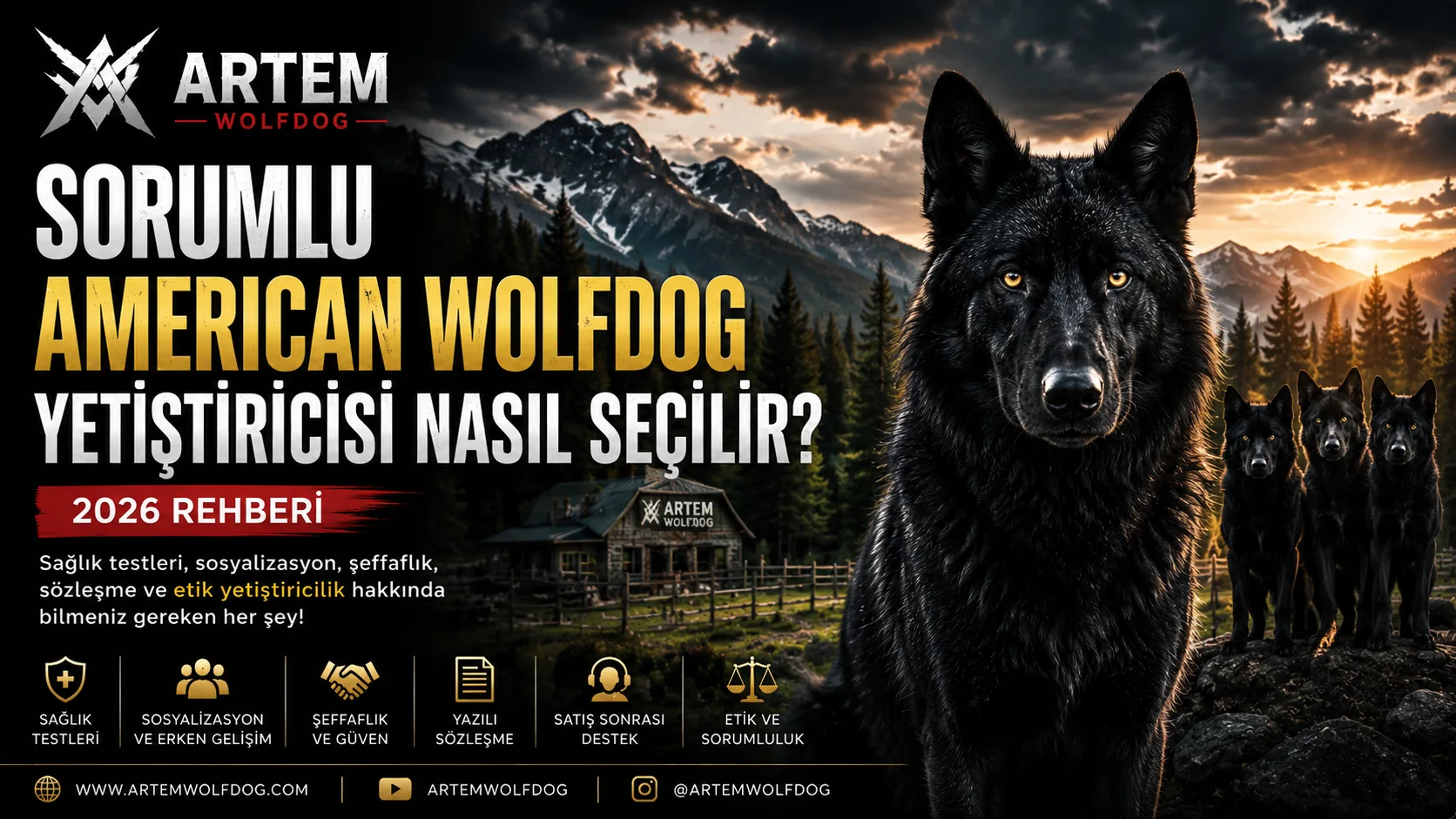 Sorumlu American Wolfdog Yetiştiricisi Nasıl Seçilir?