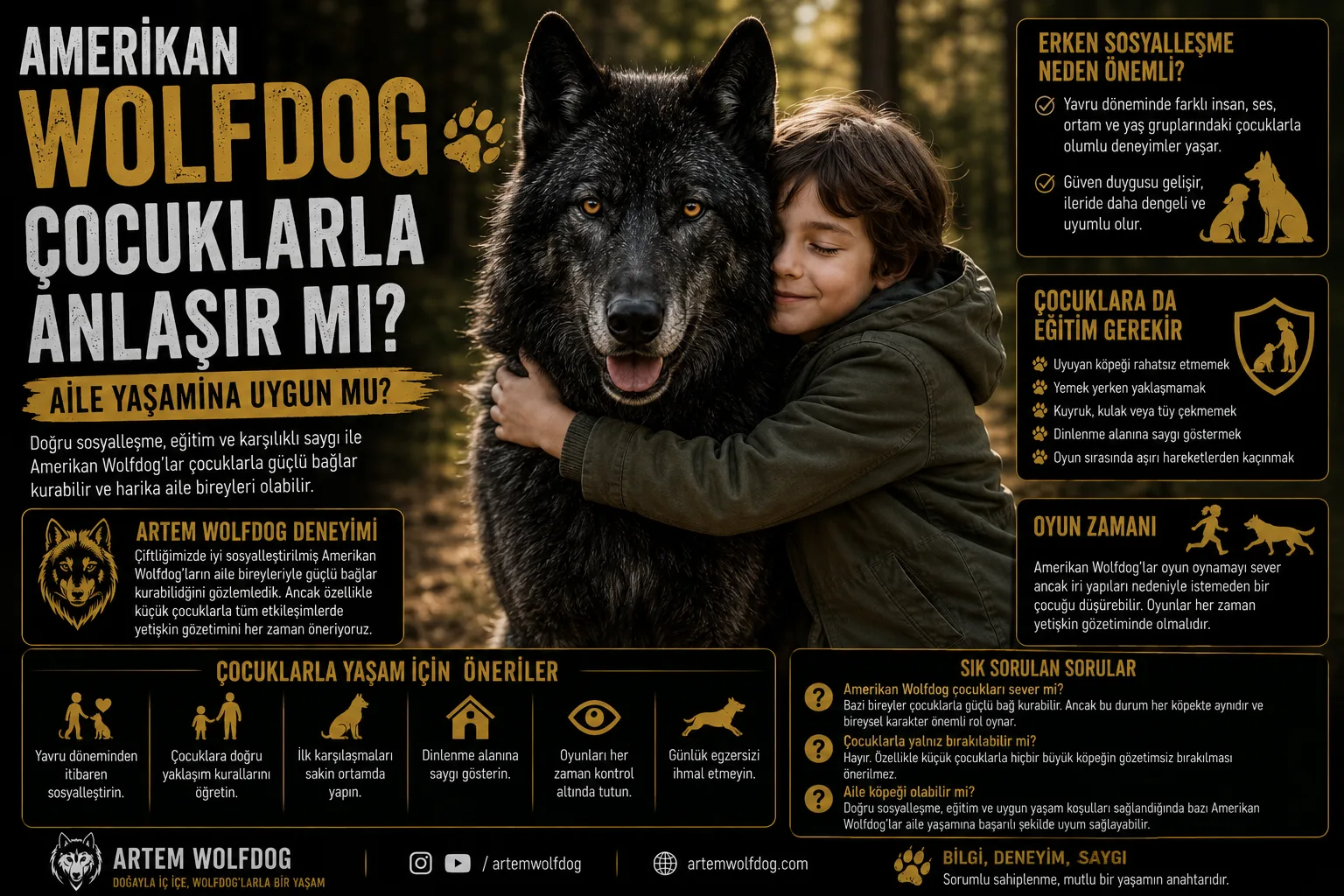 Amerikan Wolfdog Çocuklarla Anlaşır mı? Aile Yaşamına Uygun mu?
